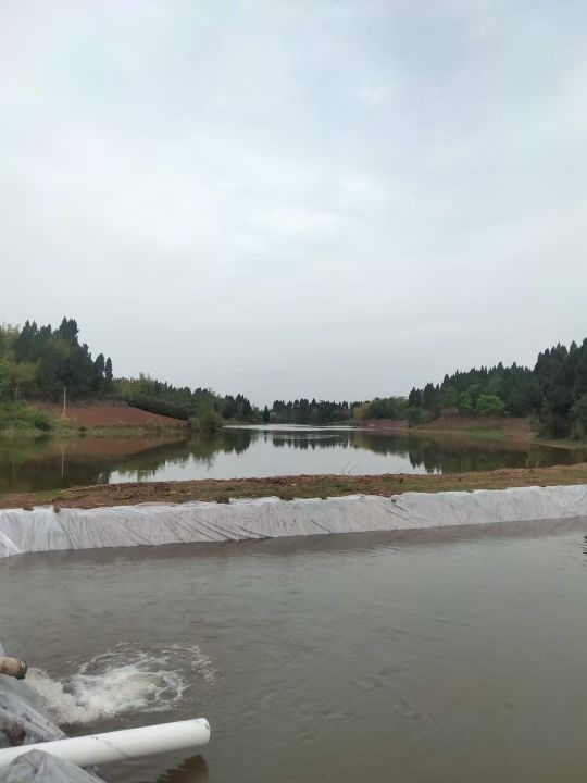 桂花垂钓基地