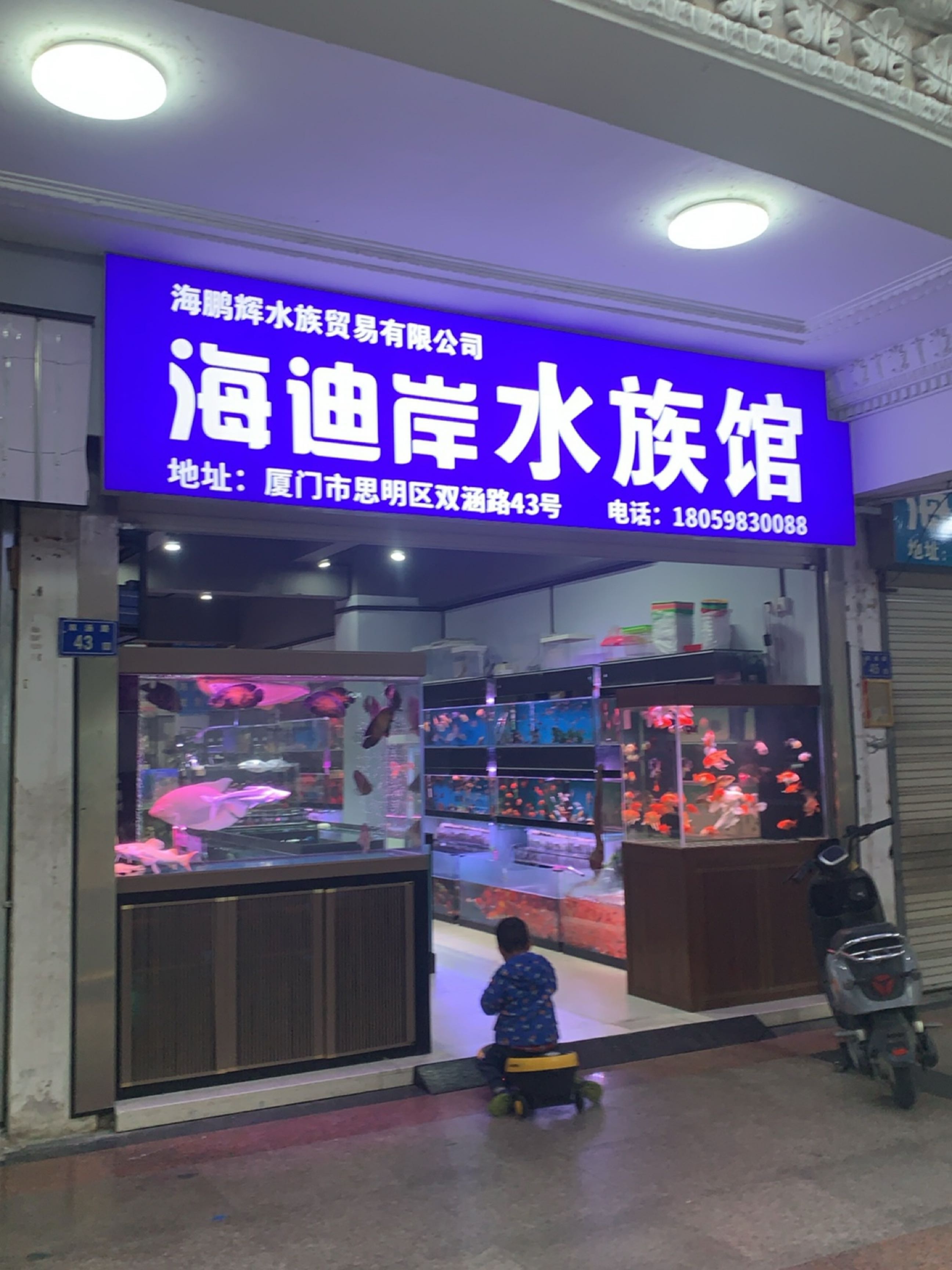 海迪岸水族馆(双涵路店)