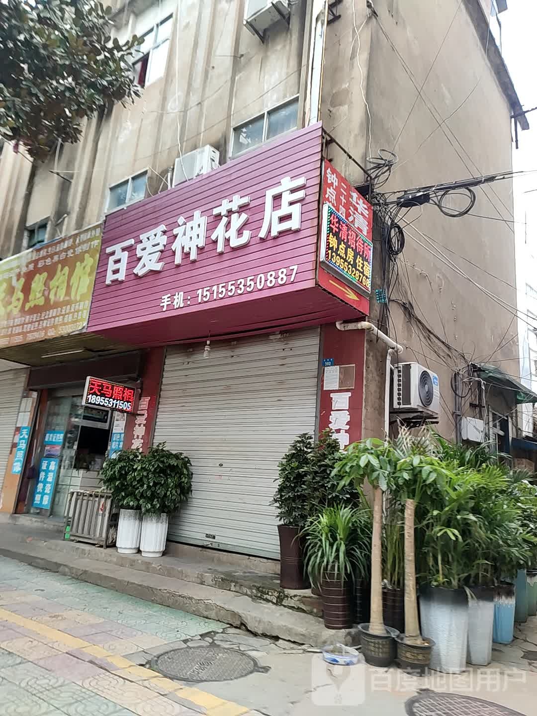百爱神花店