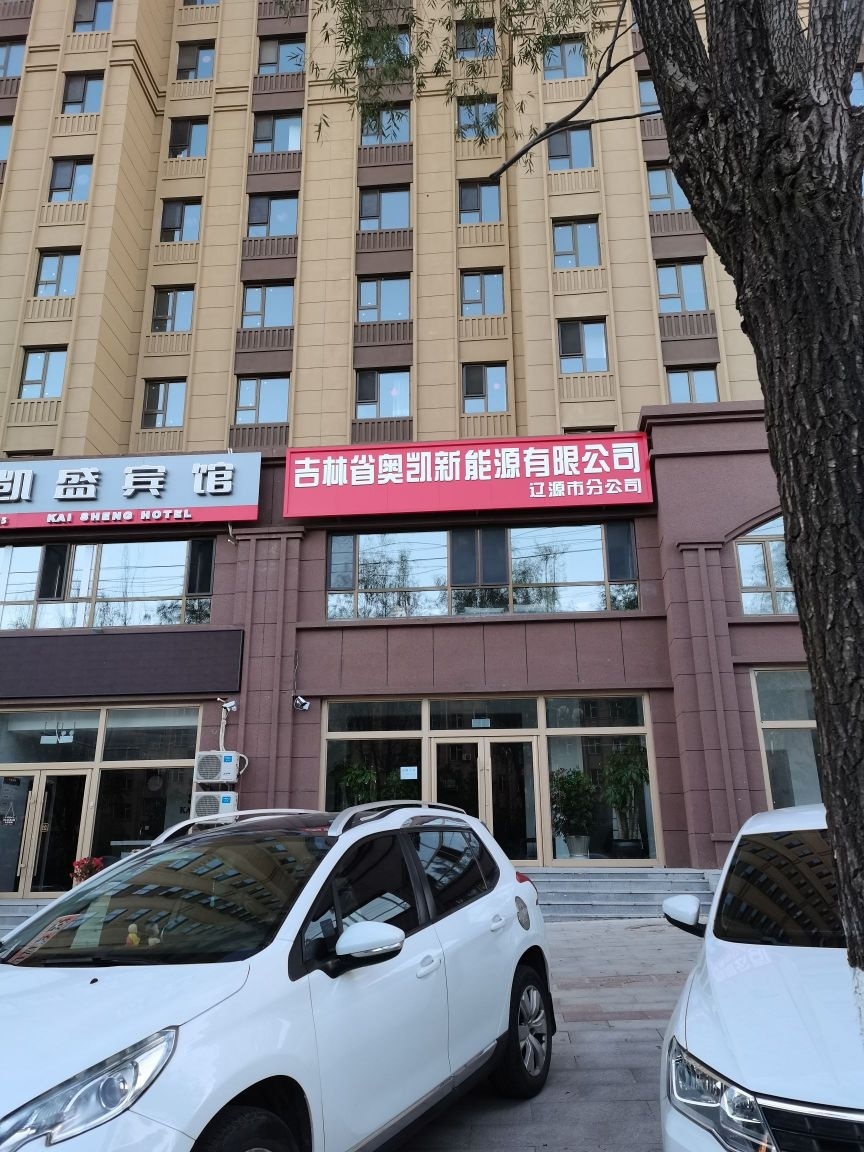 吉林省奥凯新能源有限公司辽源市分公司