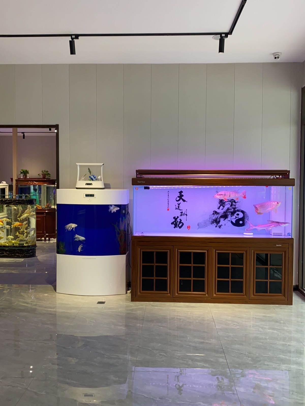 薇森森垛撕水族(育才路店)