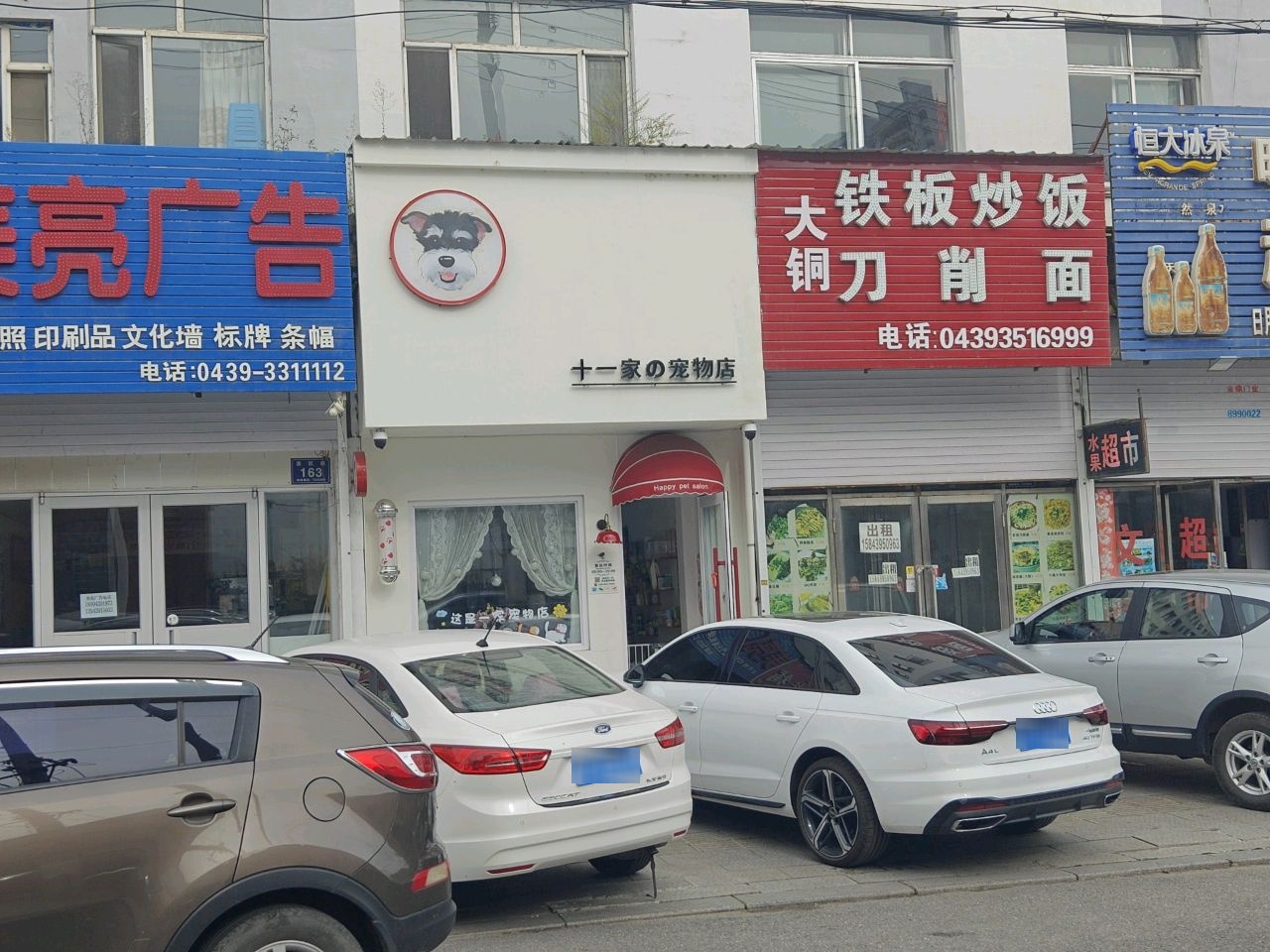 十一家的宠物店