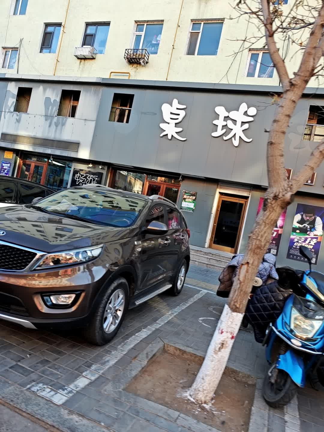 畅游桌球