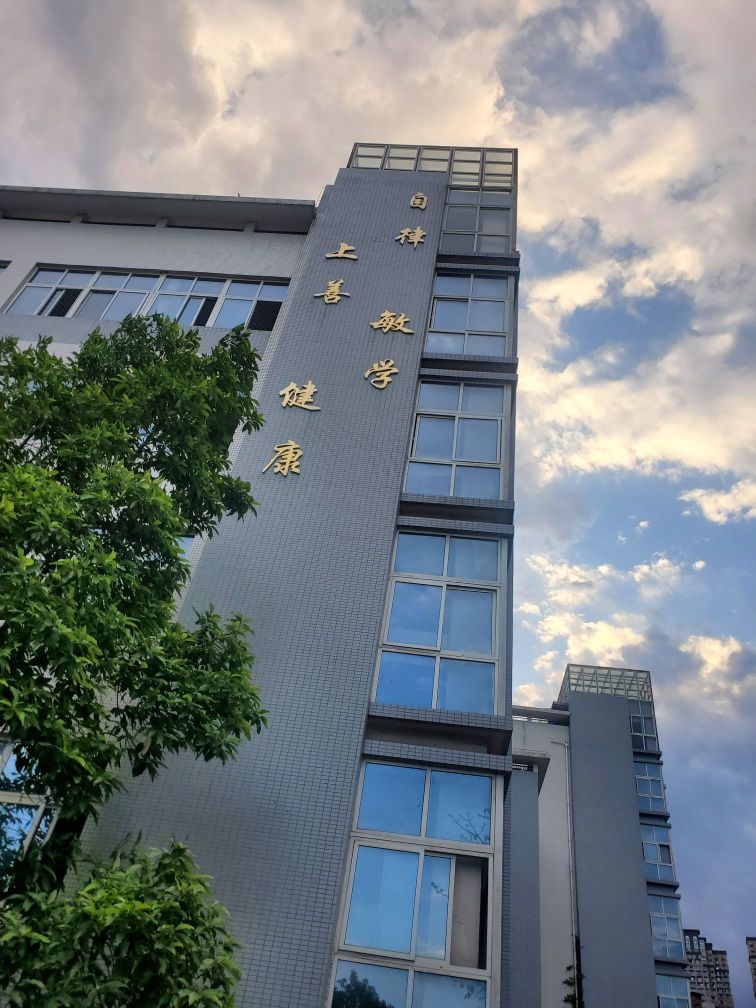 攀枝花市十九中小龙箐学校