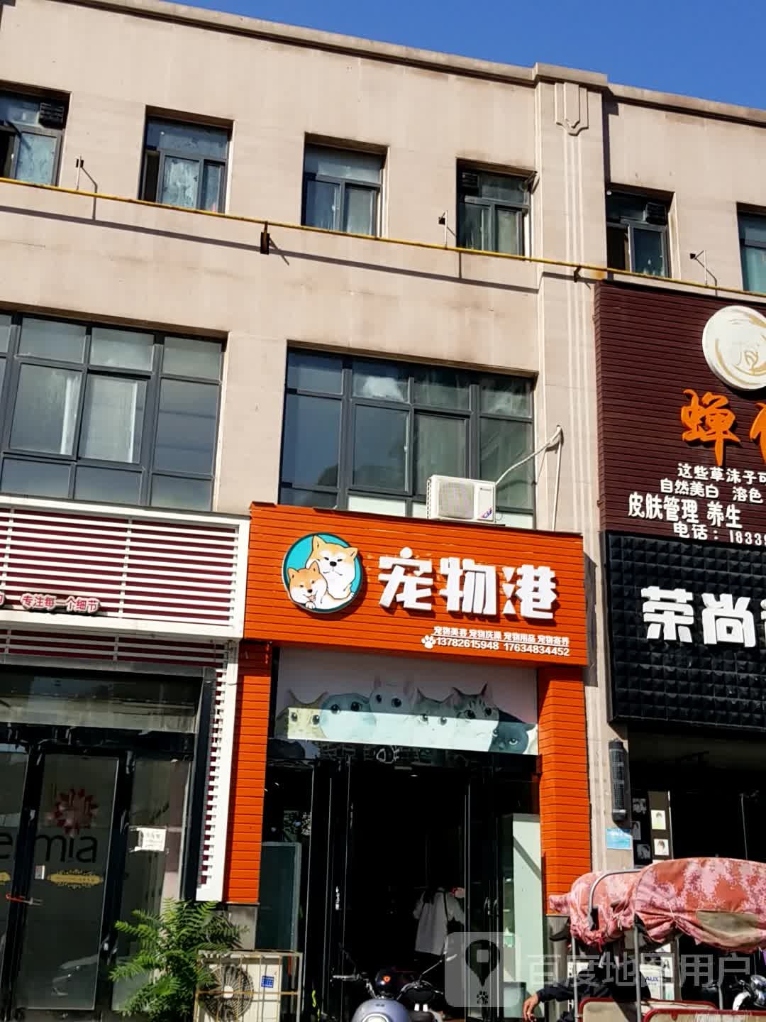 宠物店港(成丰路店)