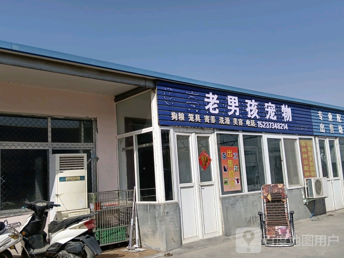 老男孩宠物