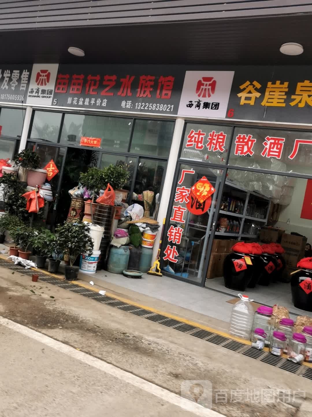 苗苗花鱼水族馆