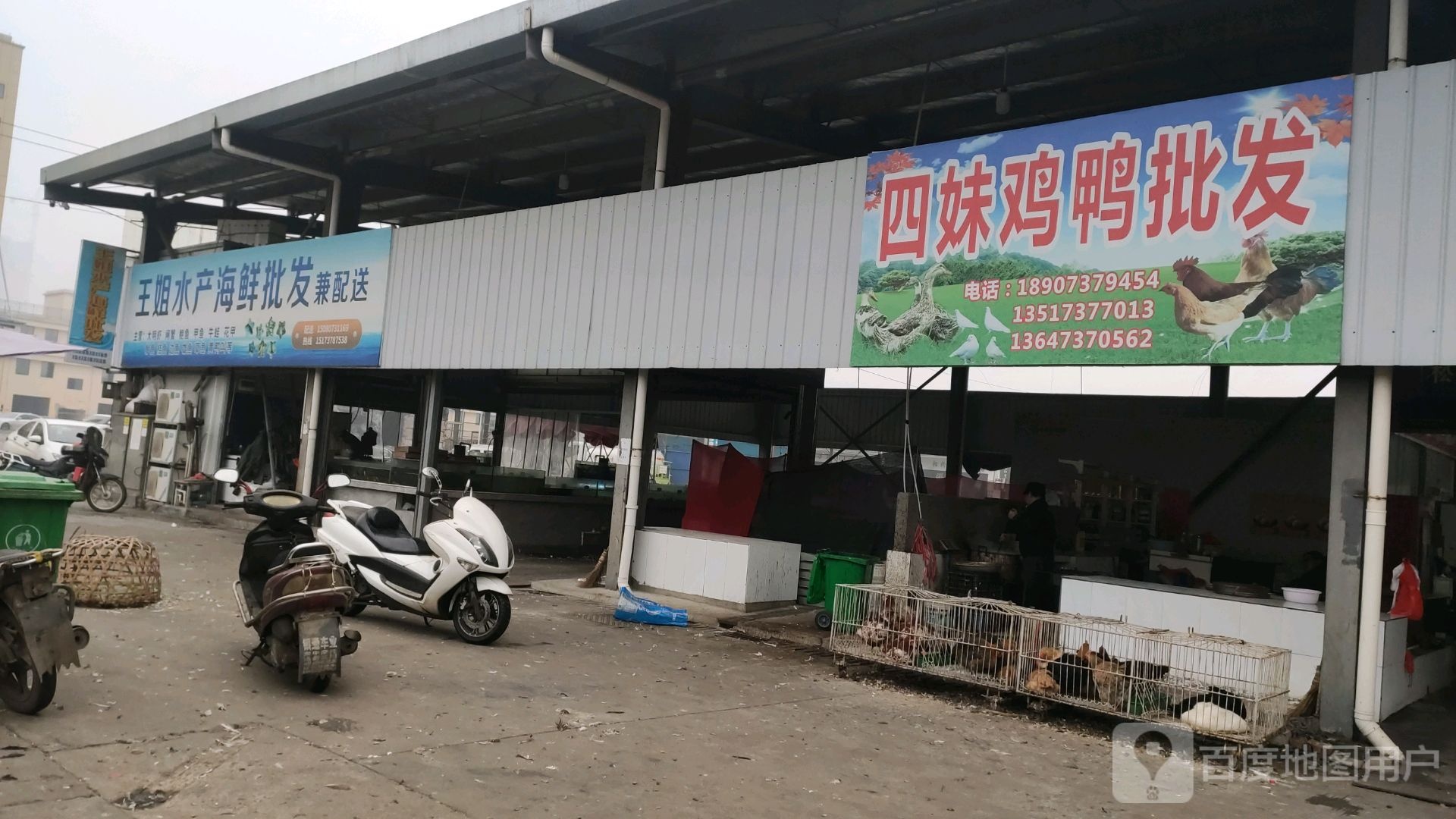 王姐水产海鲜批发