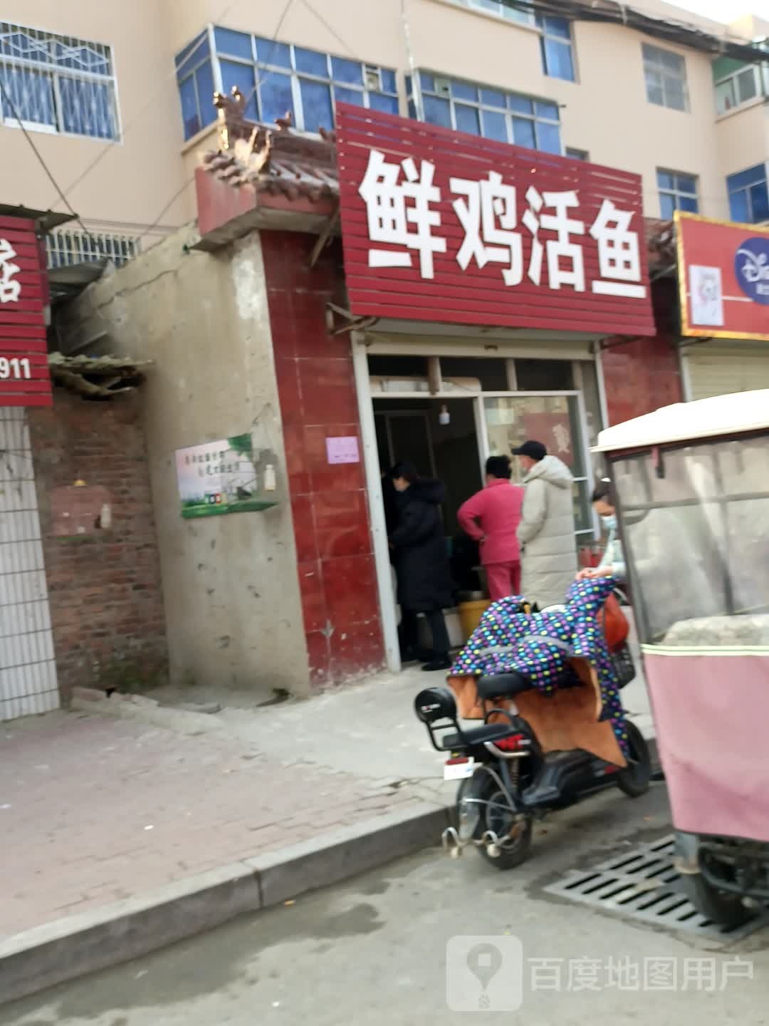 鲜鸡活鱼
