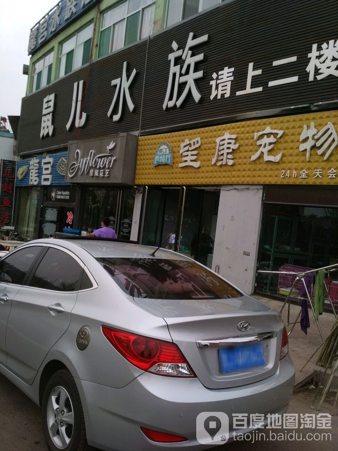 鼠儿水景(永宁西路店)
