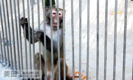 鄂尔多斯野生动物园