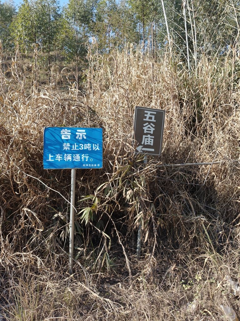 江区马坝镇阳岗五谷庙