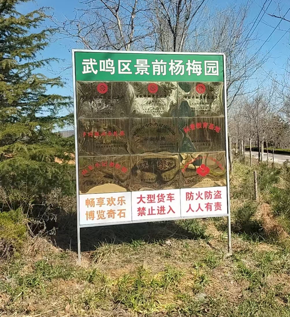 武鸣区景前杨梅园