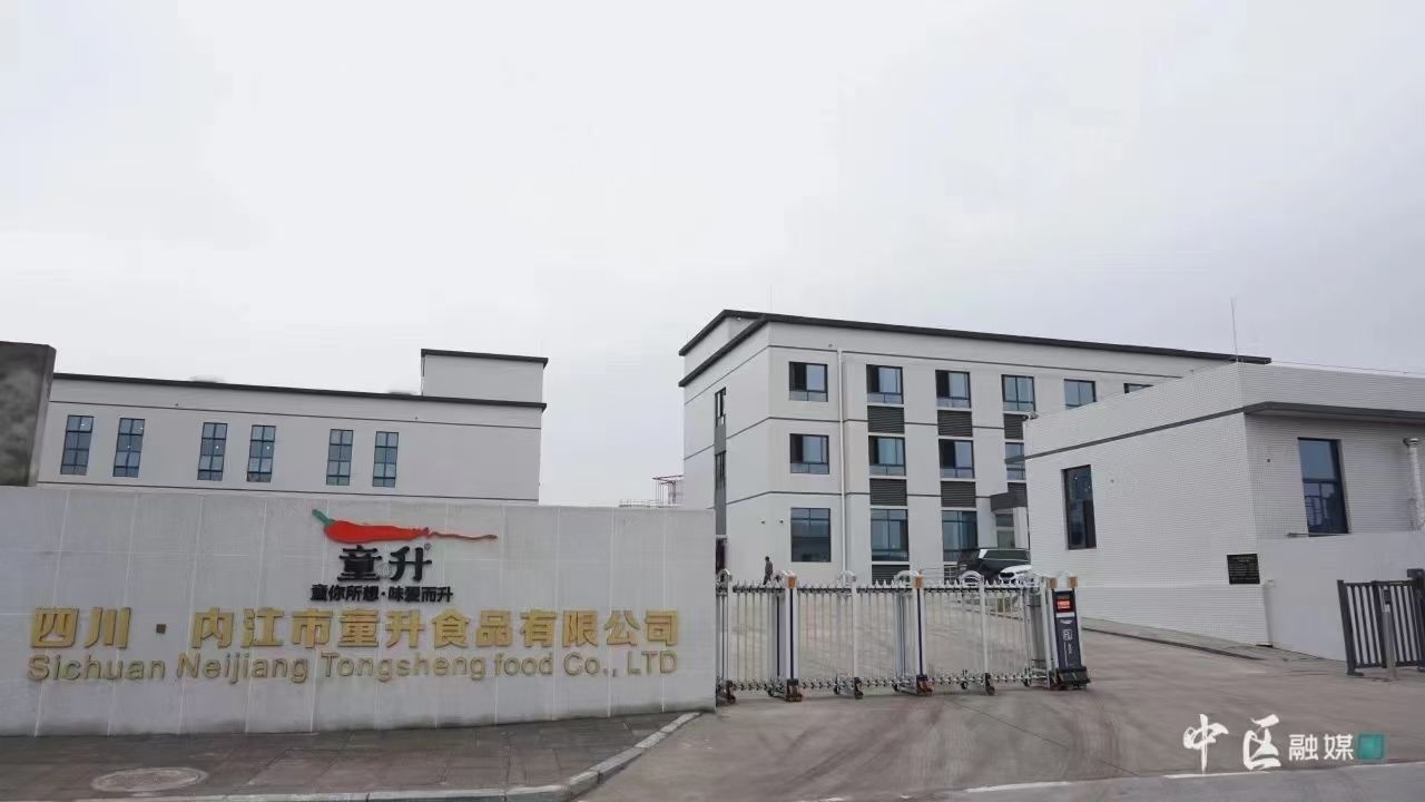 内江市童升食品有限公司
