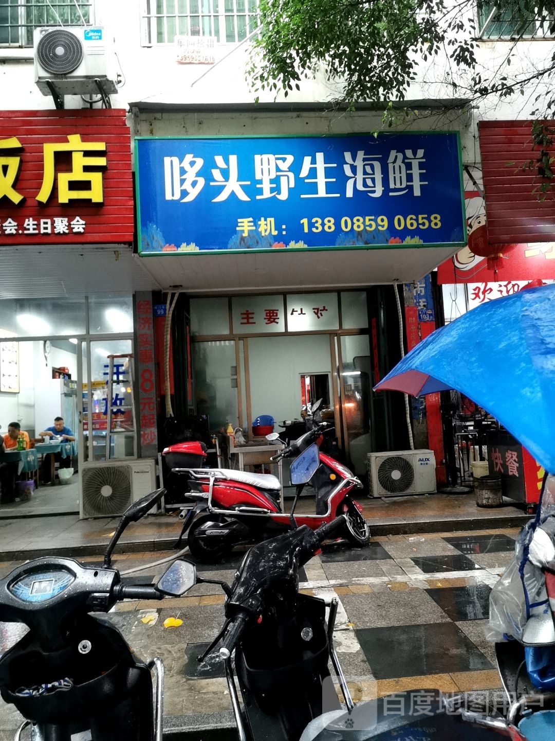 哆头野生海先