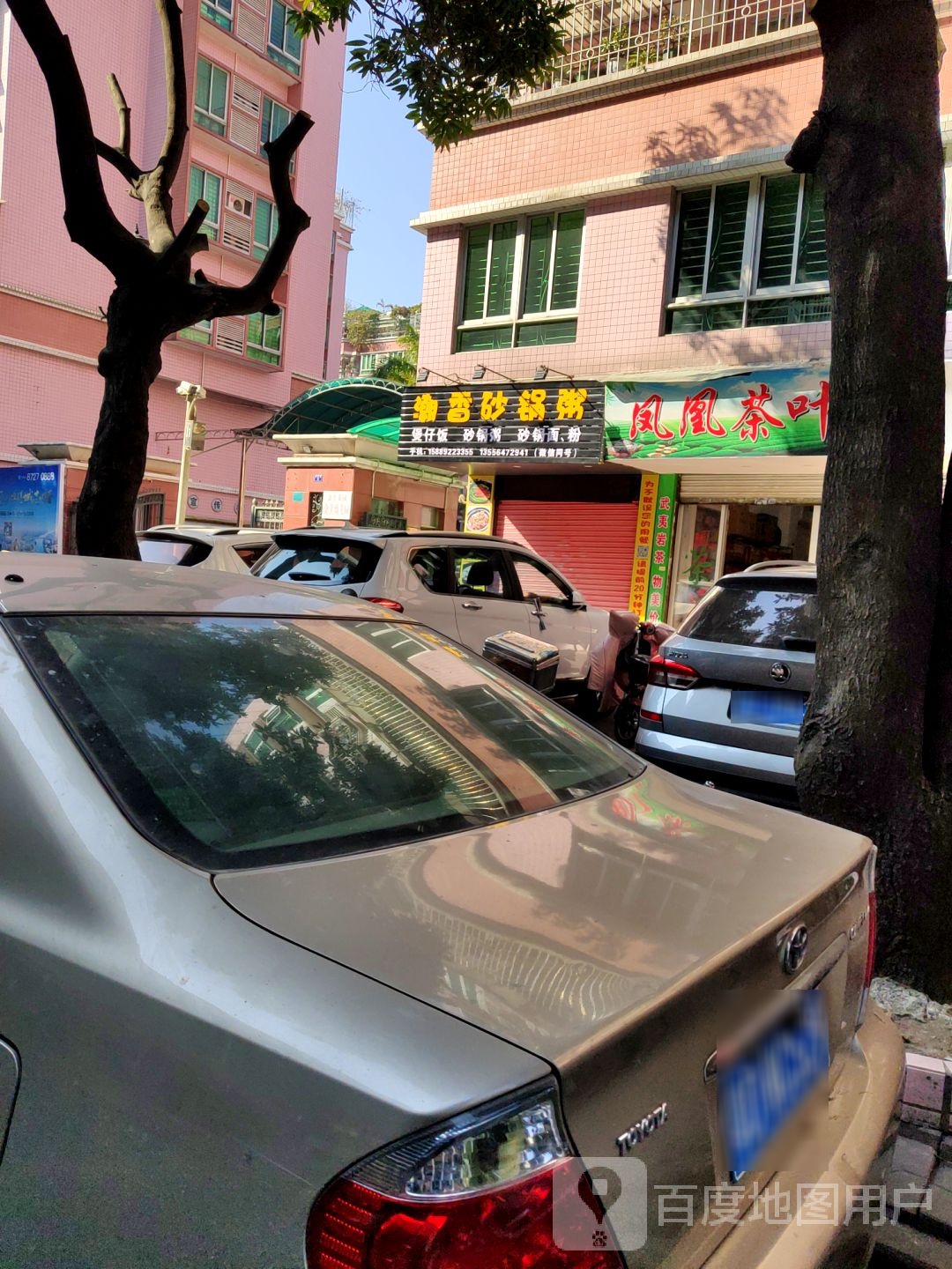 凤凰茶叶