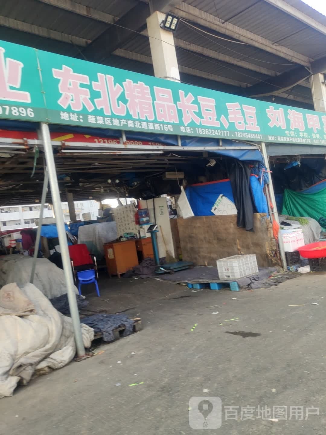 东北精品长豆,毛豆