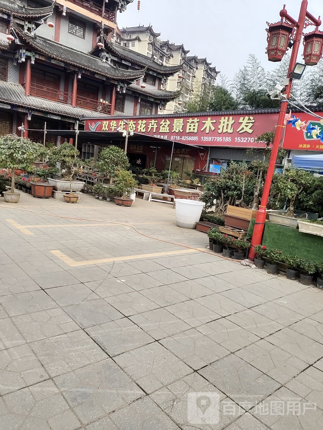 双华生态花卉盆景苗木