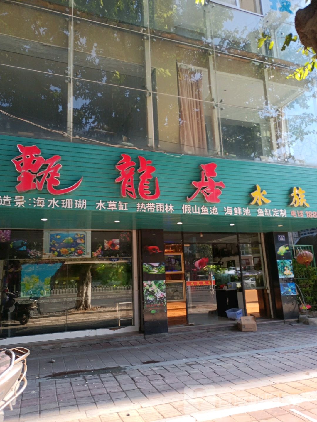 甄龙居水族