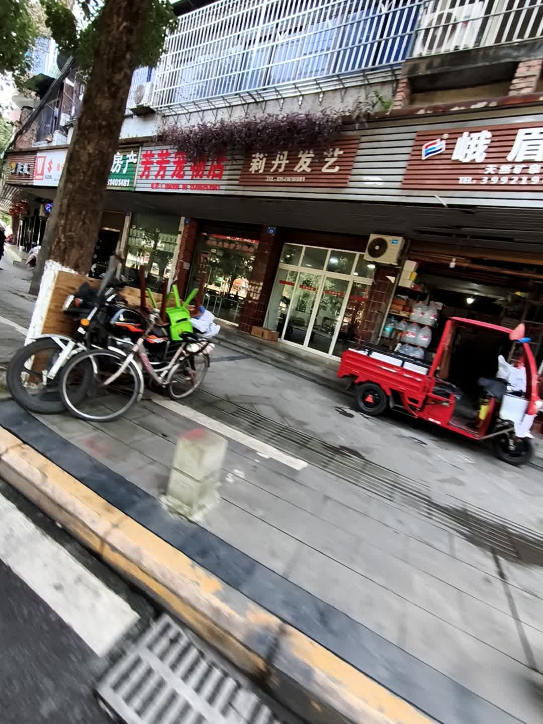 芳芳宠物店