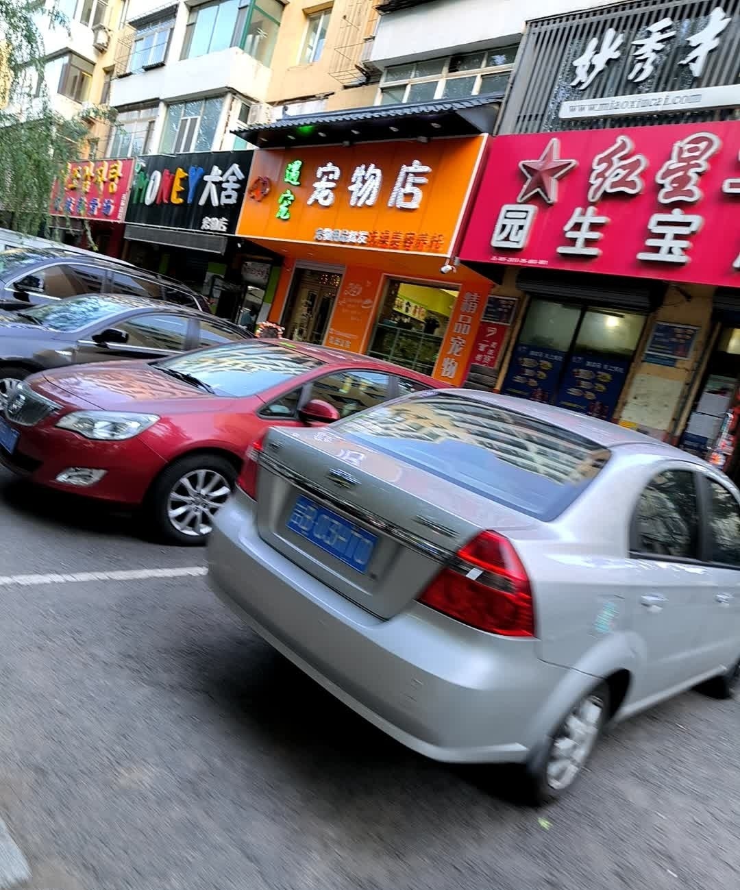 多米宠物店