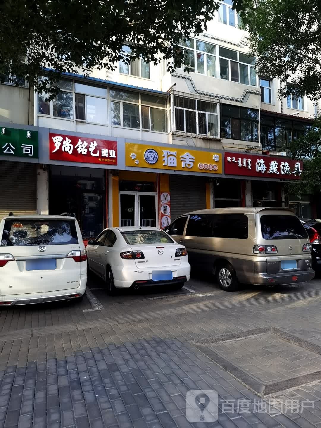 喵上校猫舍宠物会所(三马路店)