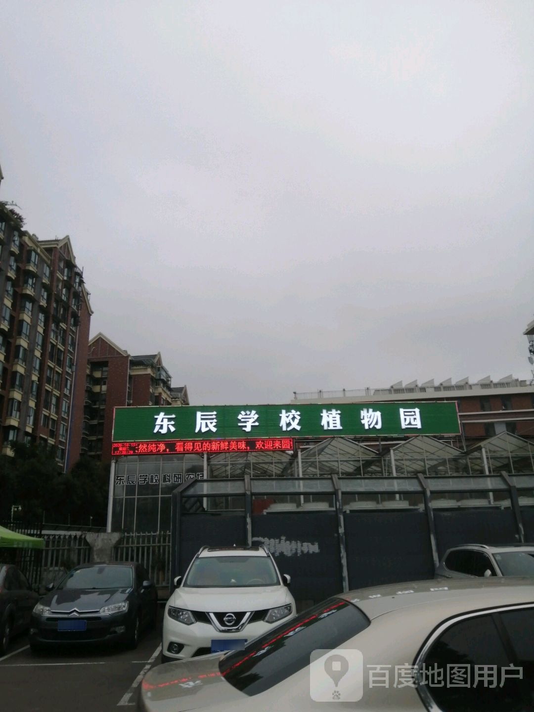 东辰小学植物园