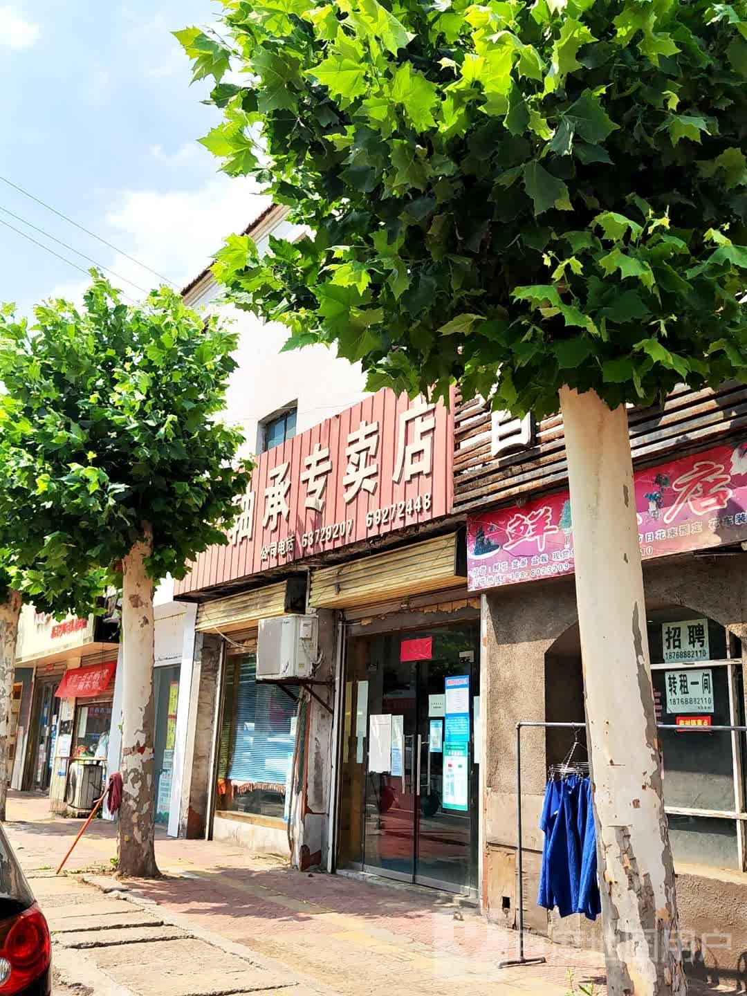 新郑市TWB轴承专卖店(王观路店)