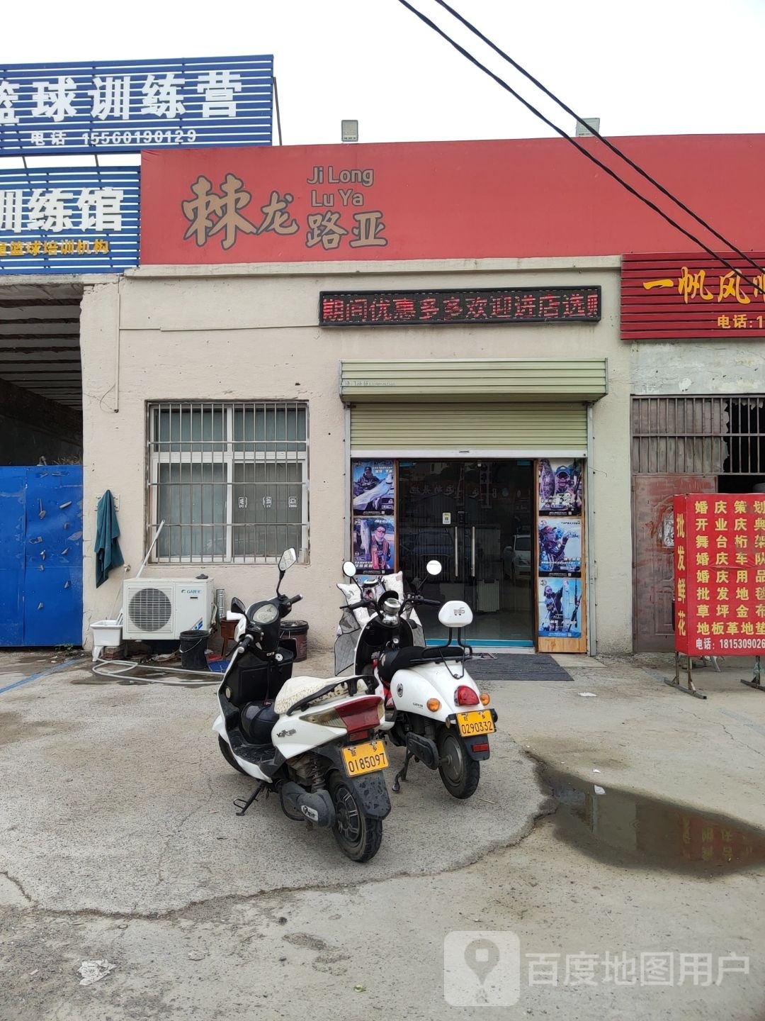 棘龙路亚