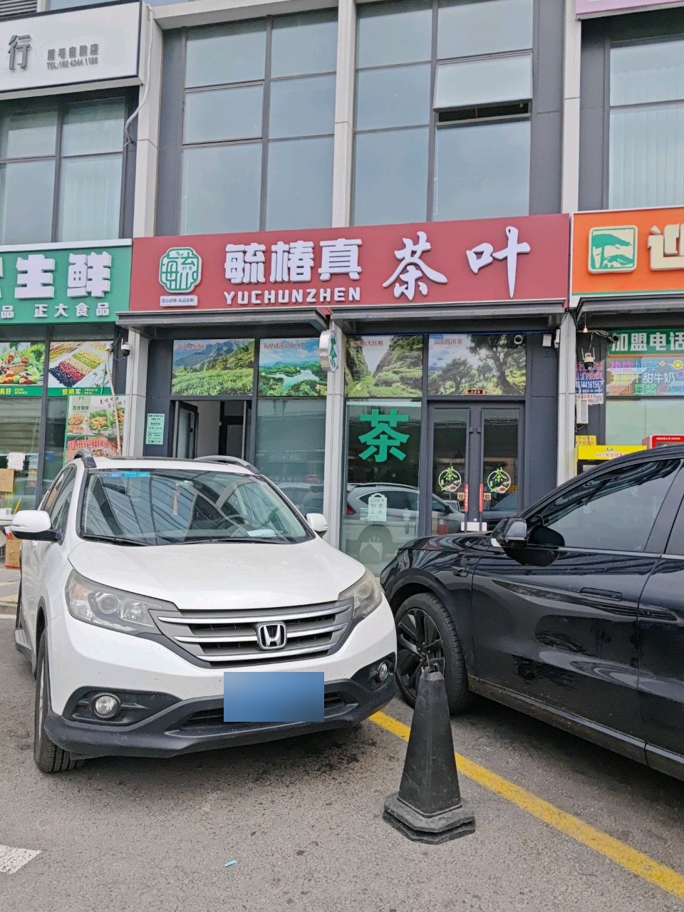 毓椿真茶叶