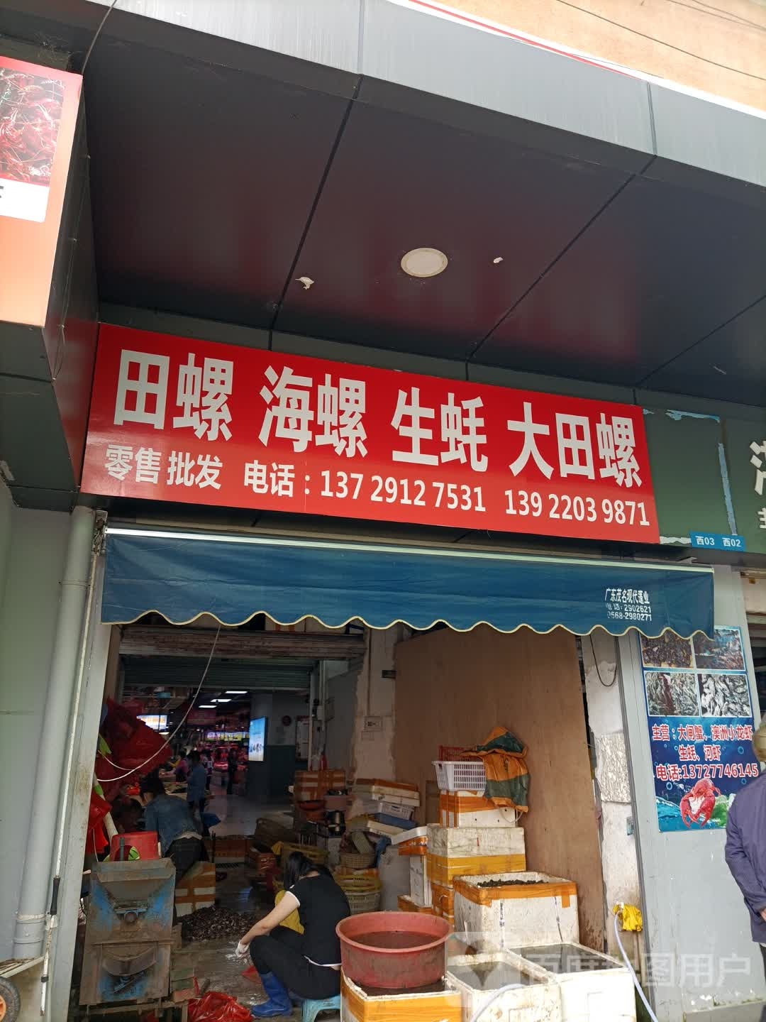 田螺海螺