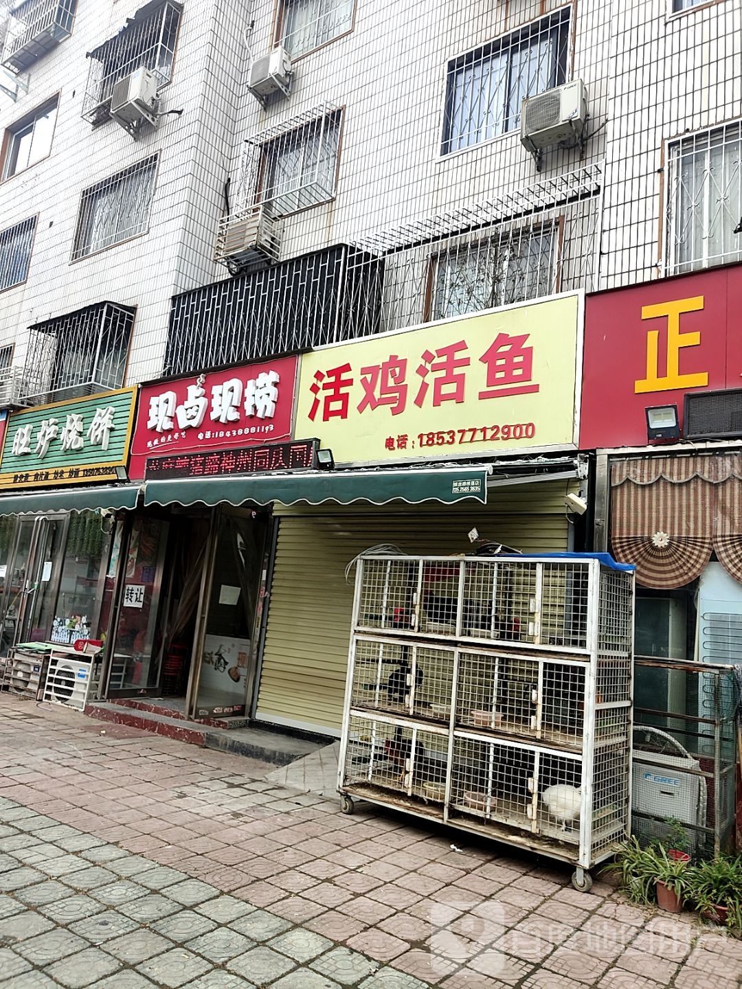 活鸡活鱼(伏牛路店)