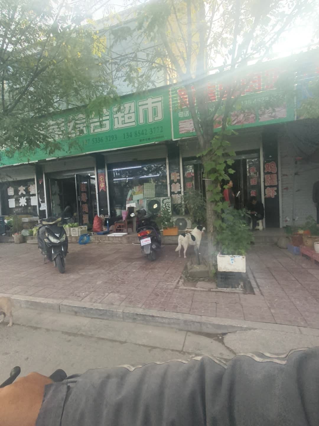 平价蔬菜综合超市