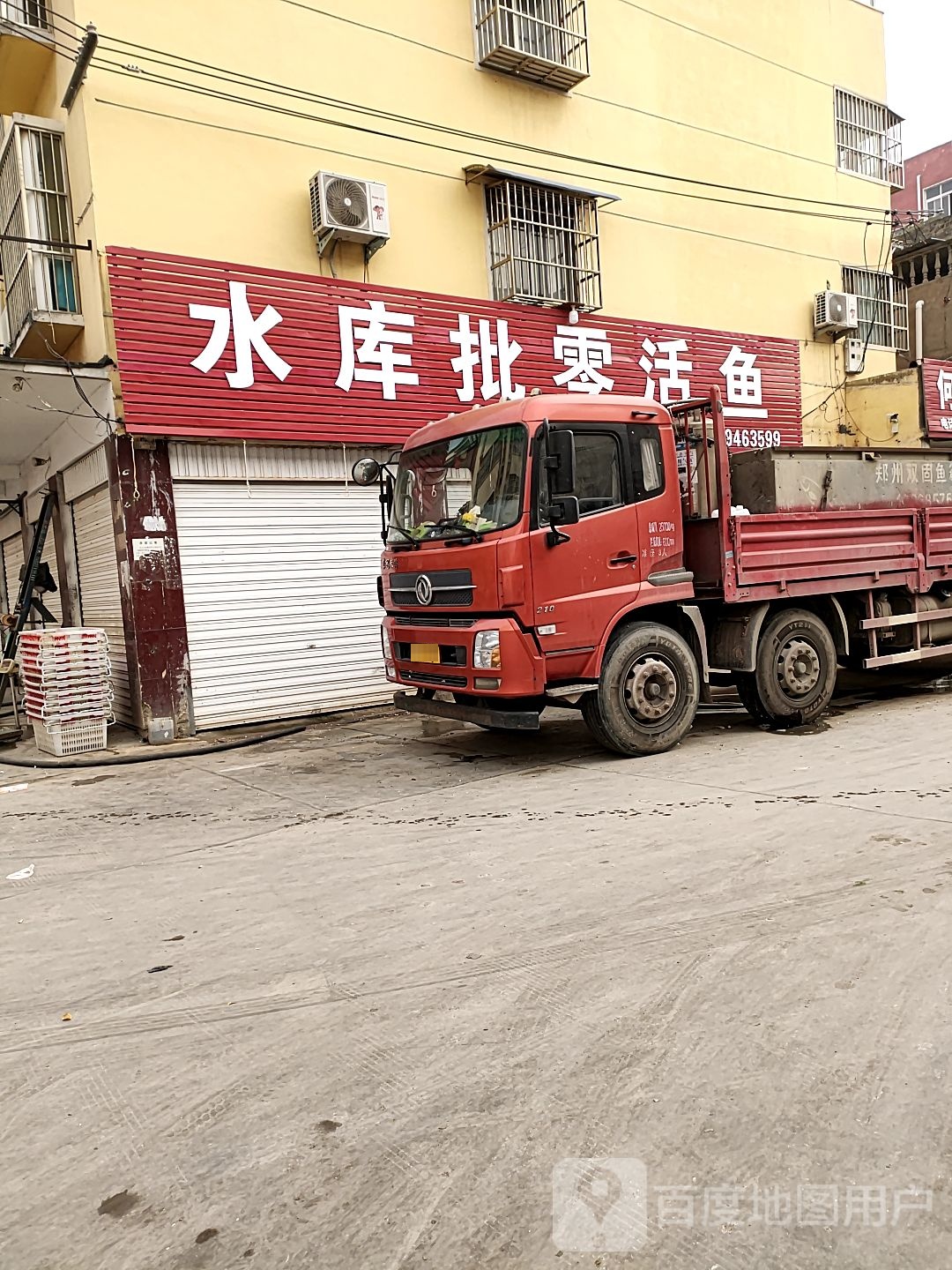 项城市水库批零活鱼