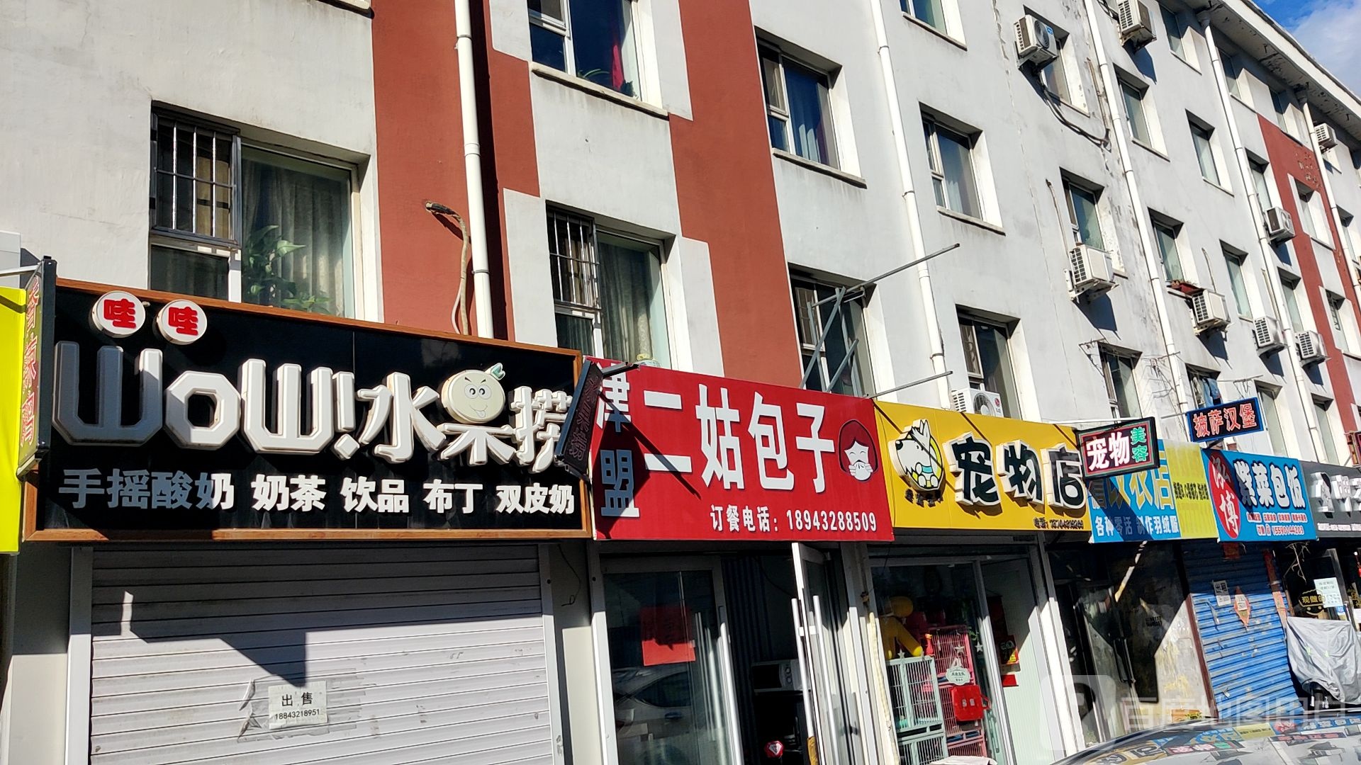 圣宠主义宠物店