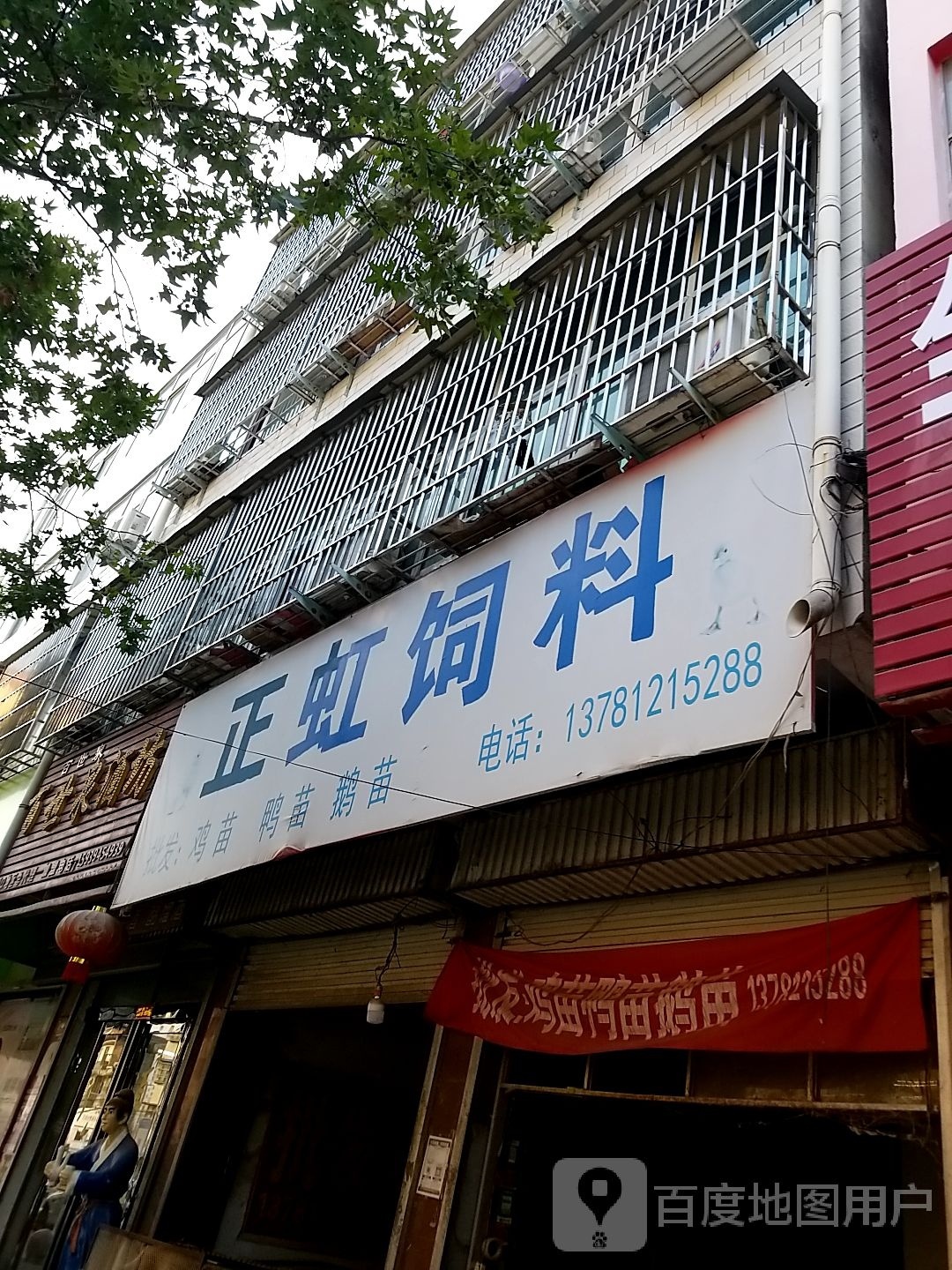 郸城县正虹饲料(人民路店)