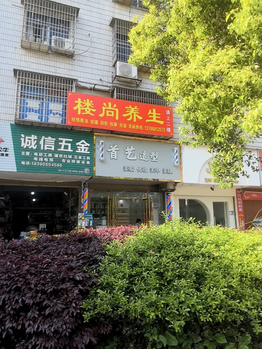 楼尚养生