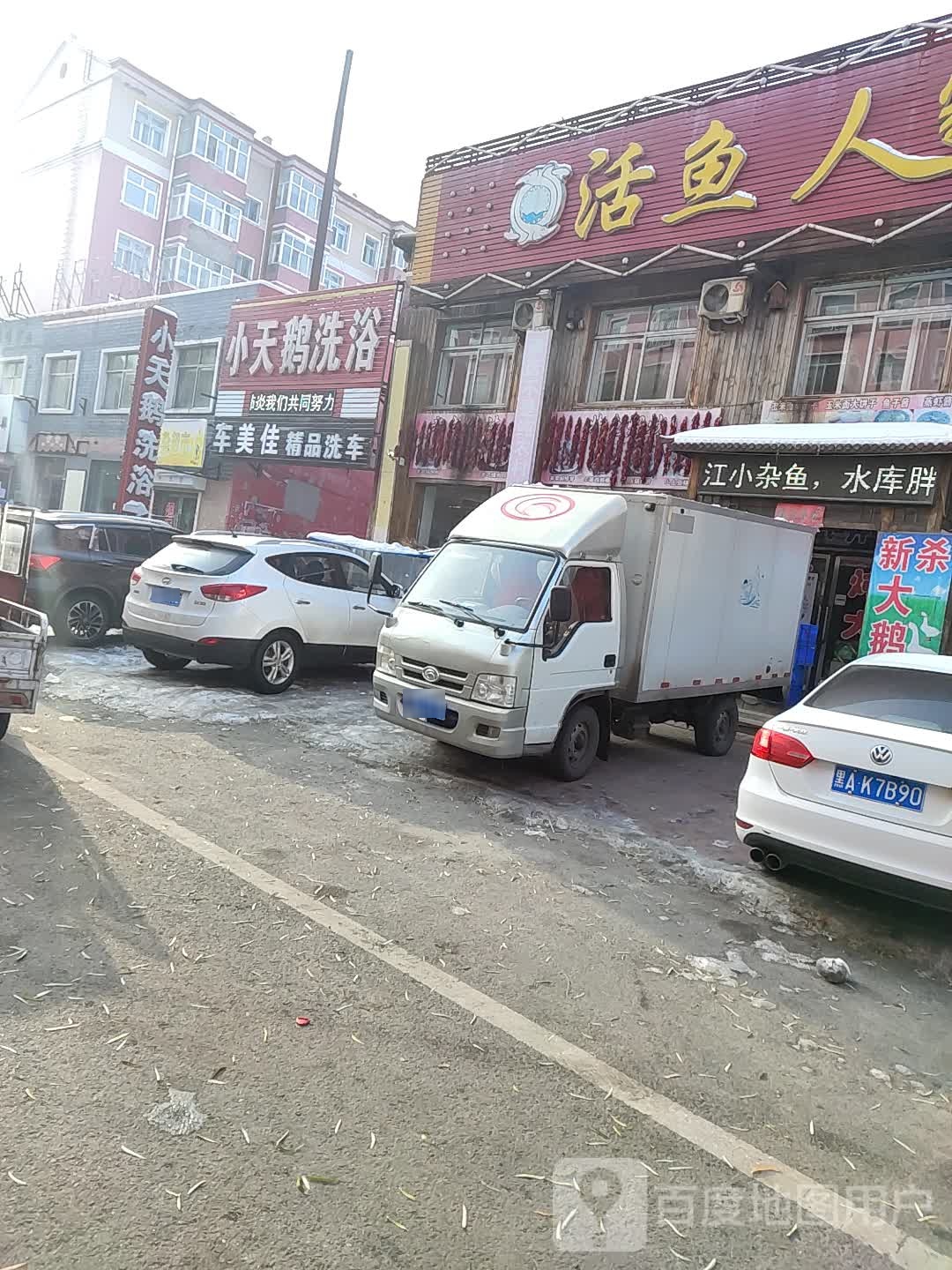 小天鹅洗浴