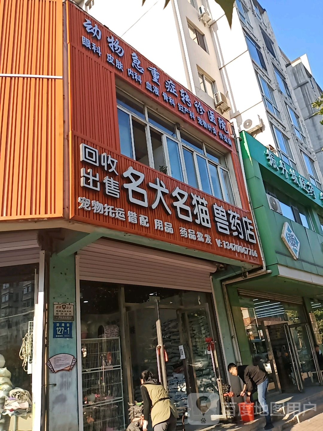 回收出售名犬名区猫店