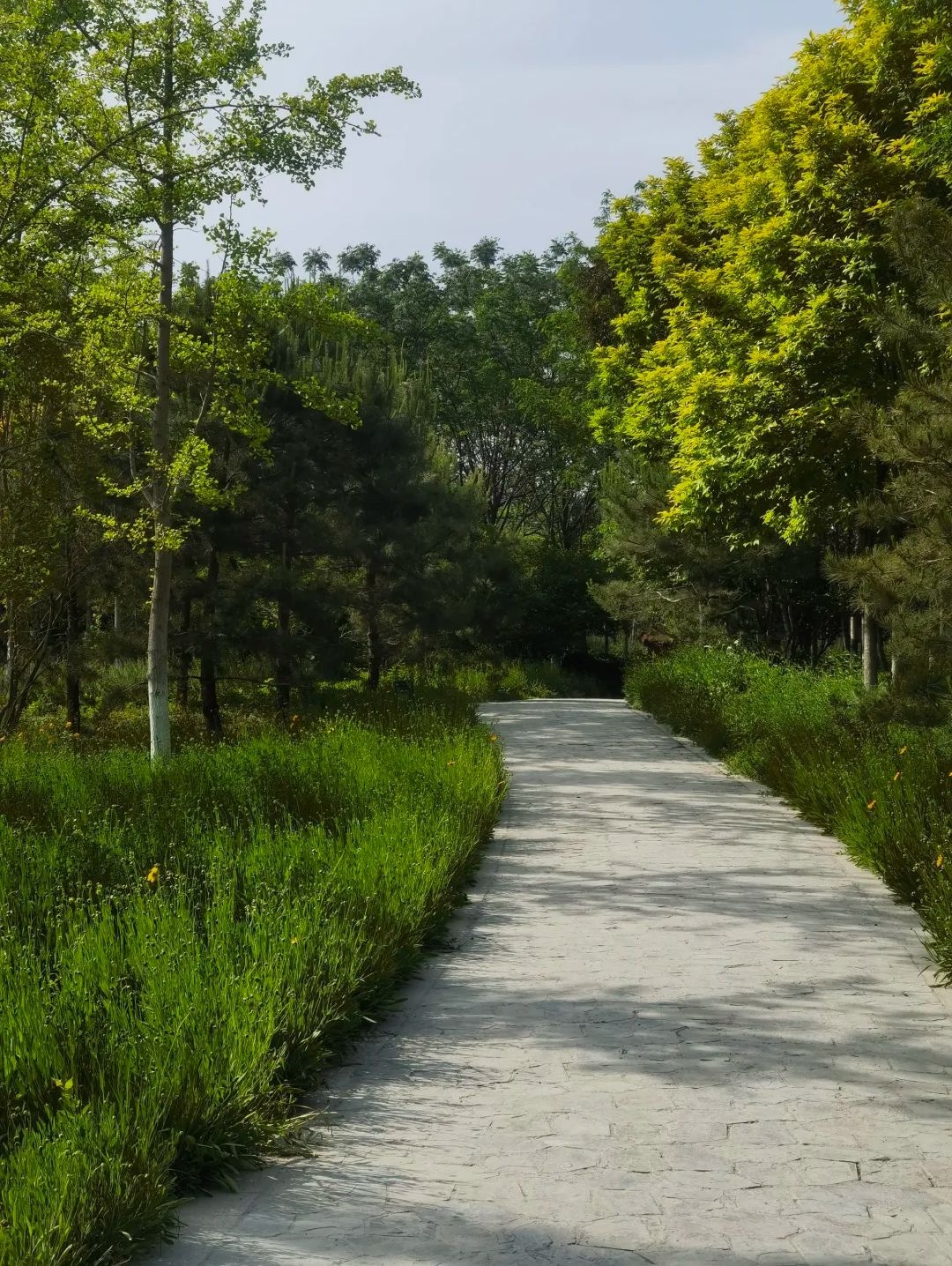 邯郸植物园