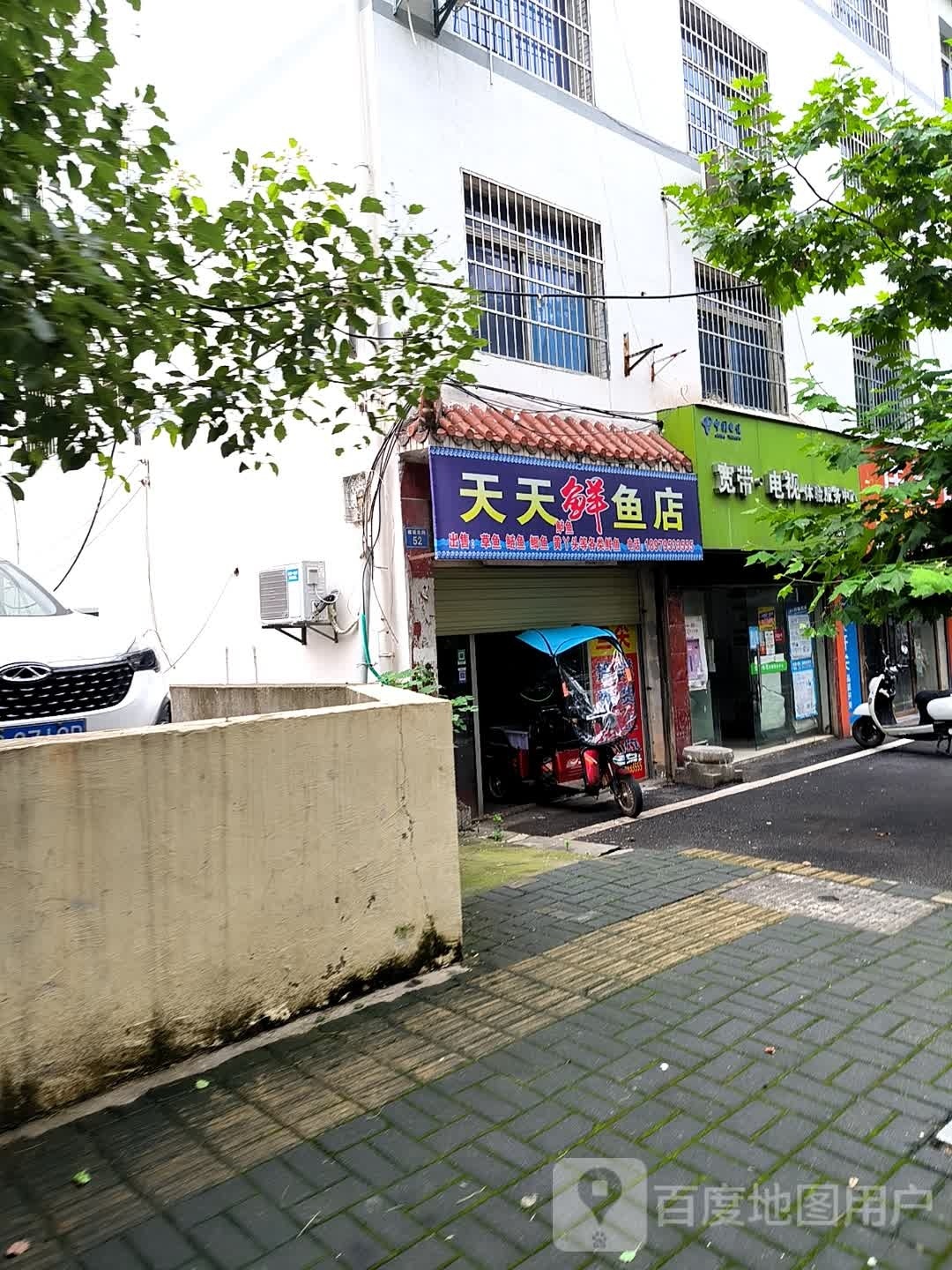 天天富鲜鱼店