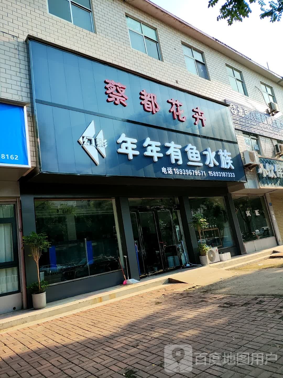 年年有鱼水族(蔡侯大道店)