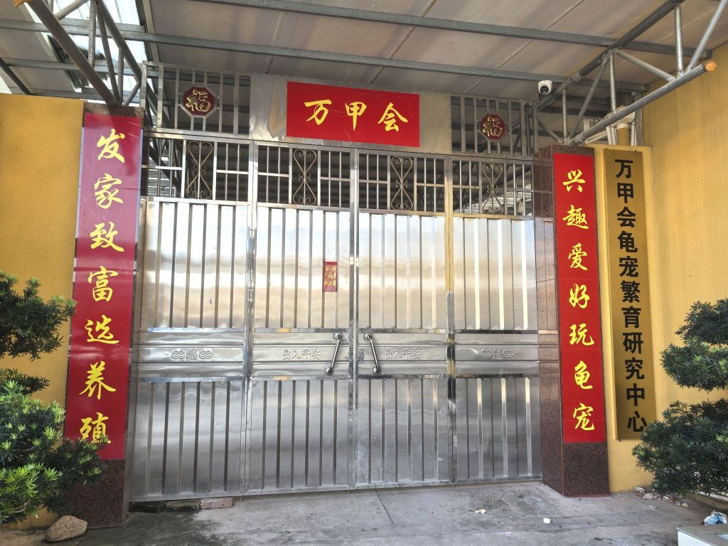 万甲会龟宠繁育研究中心