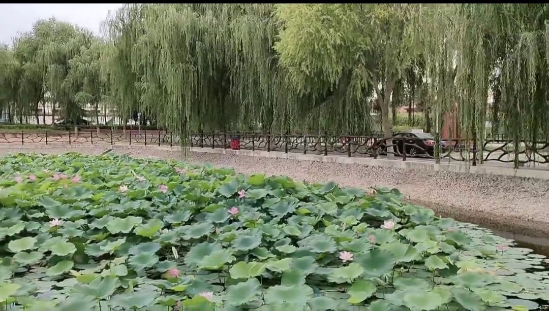 甘肃省庆阳市西峰区显胜乡冉李村村民委员会