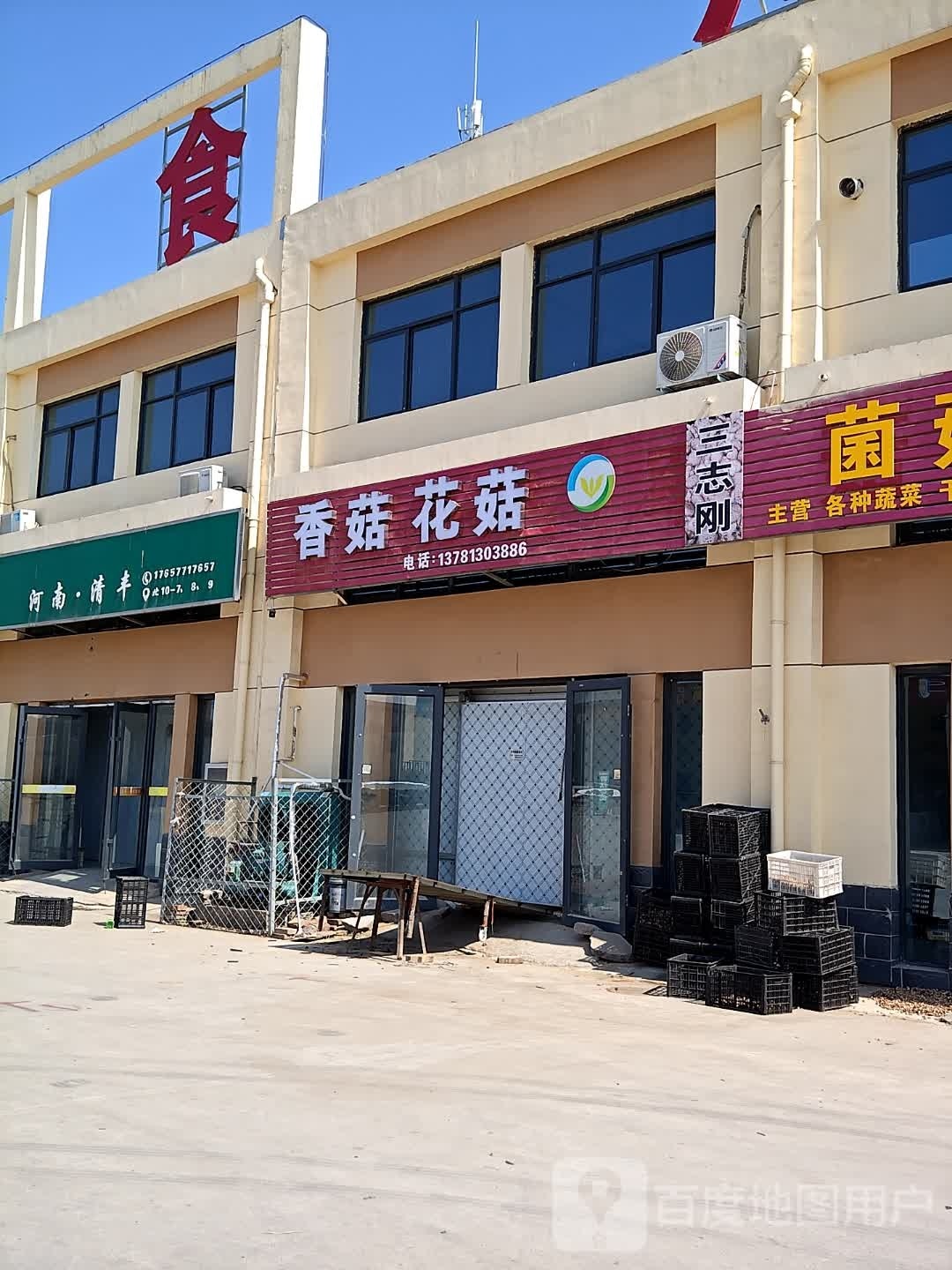 青封菌菇