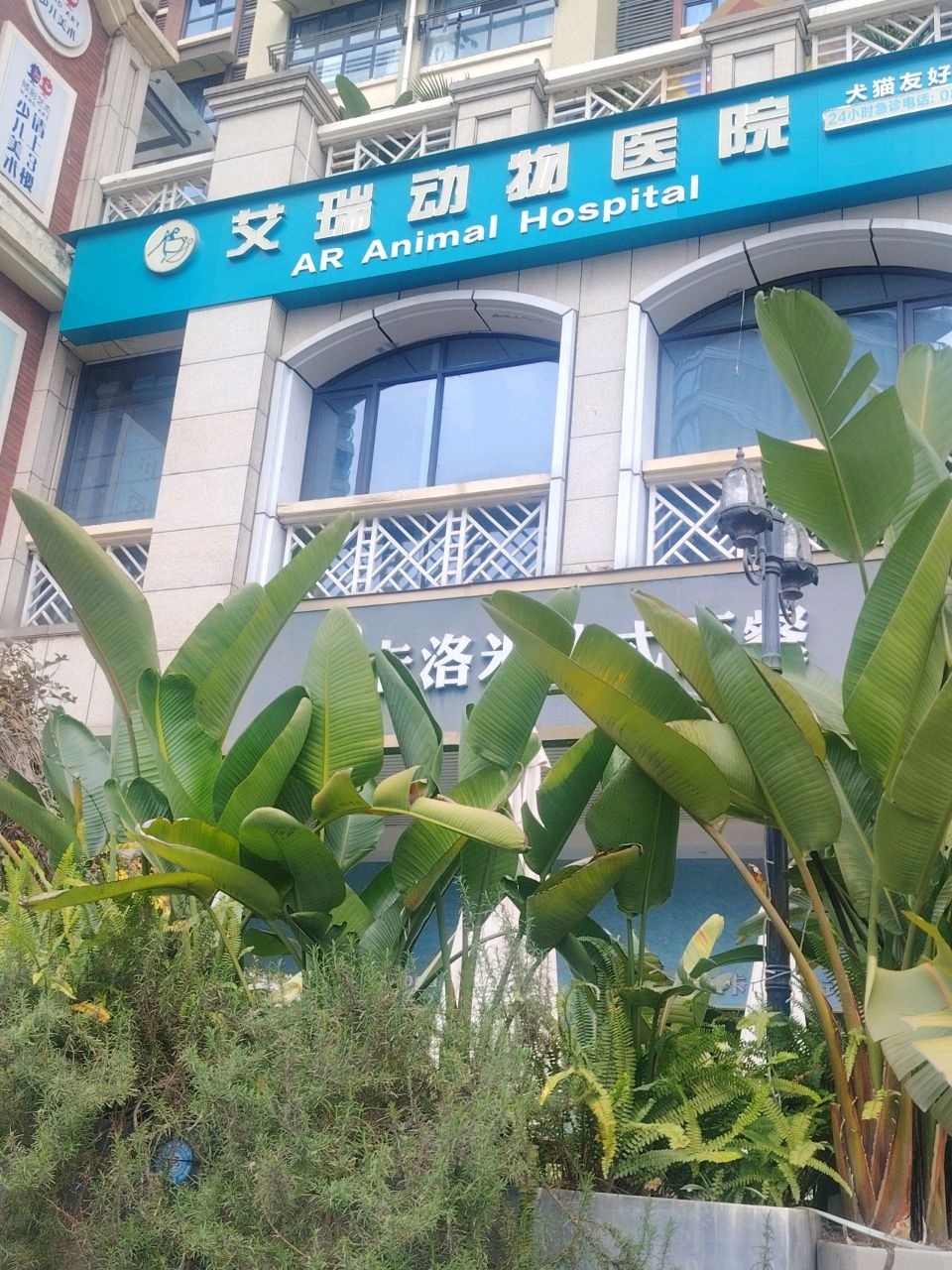艾瑞动物医院