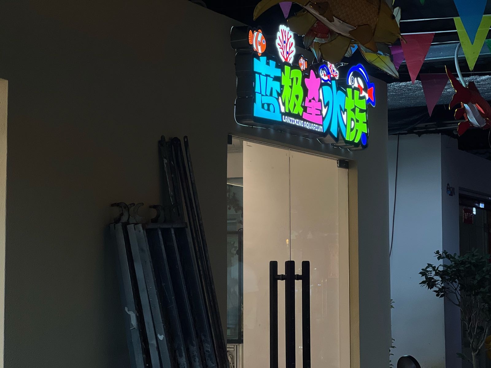 蓝极星水族(广西花鸟市场店)