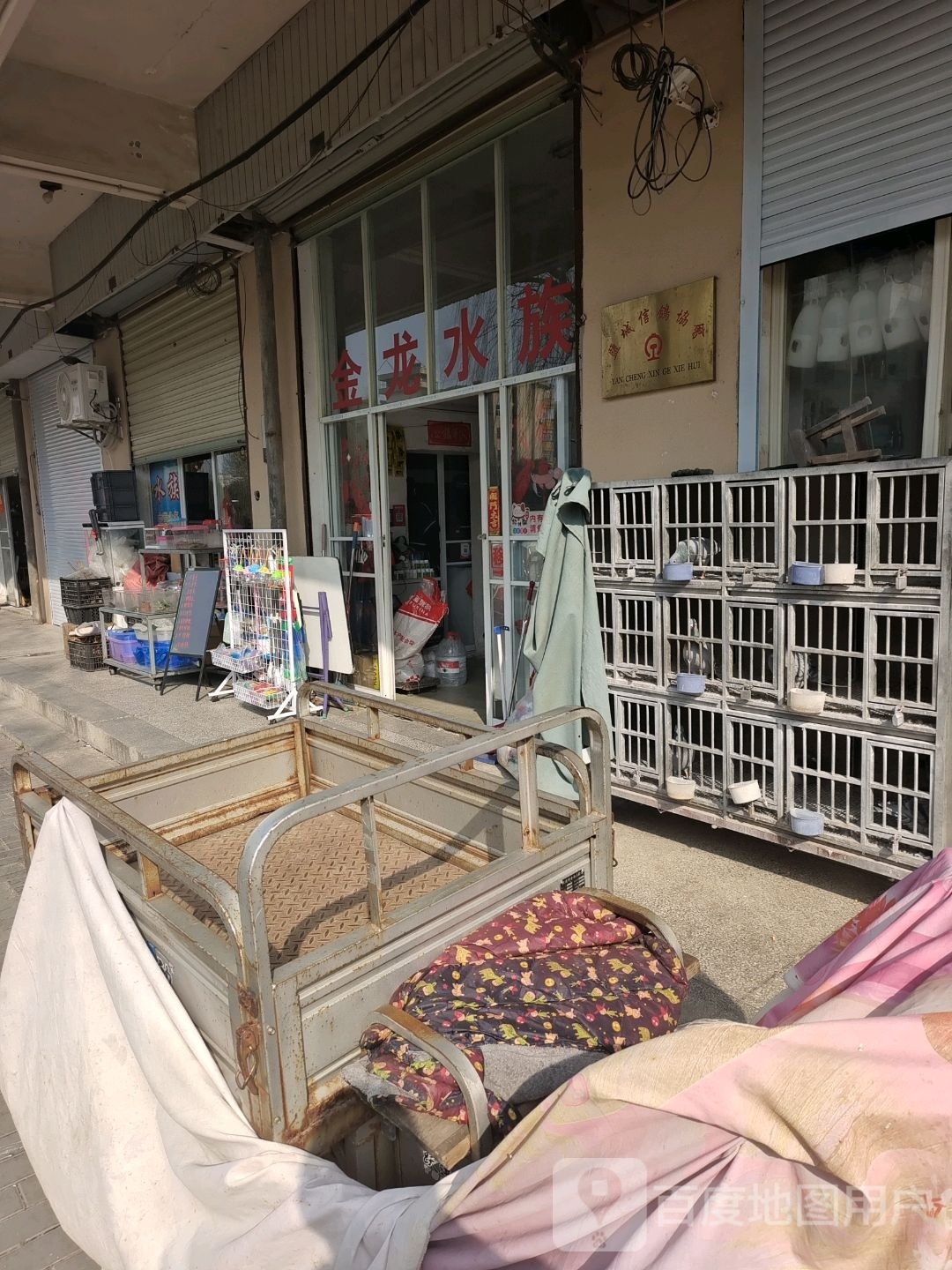 金龙水zue馆