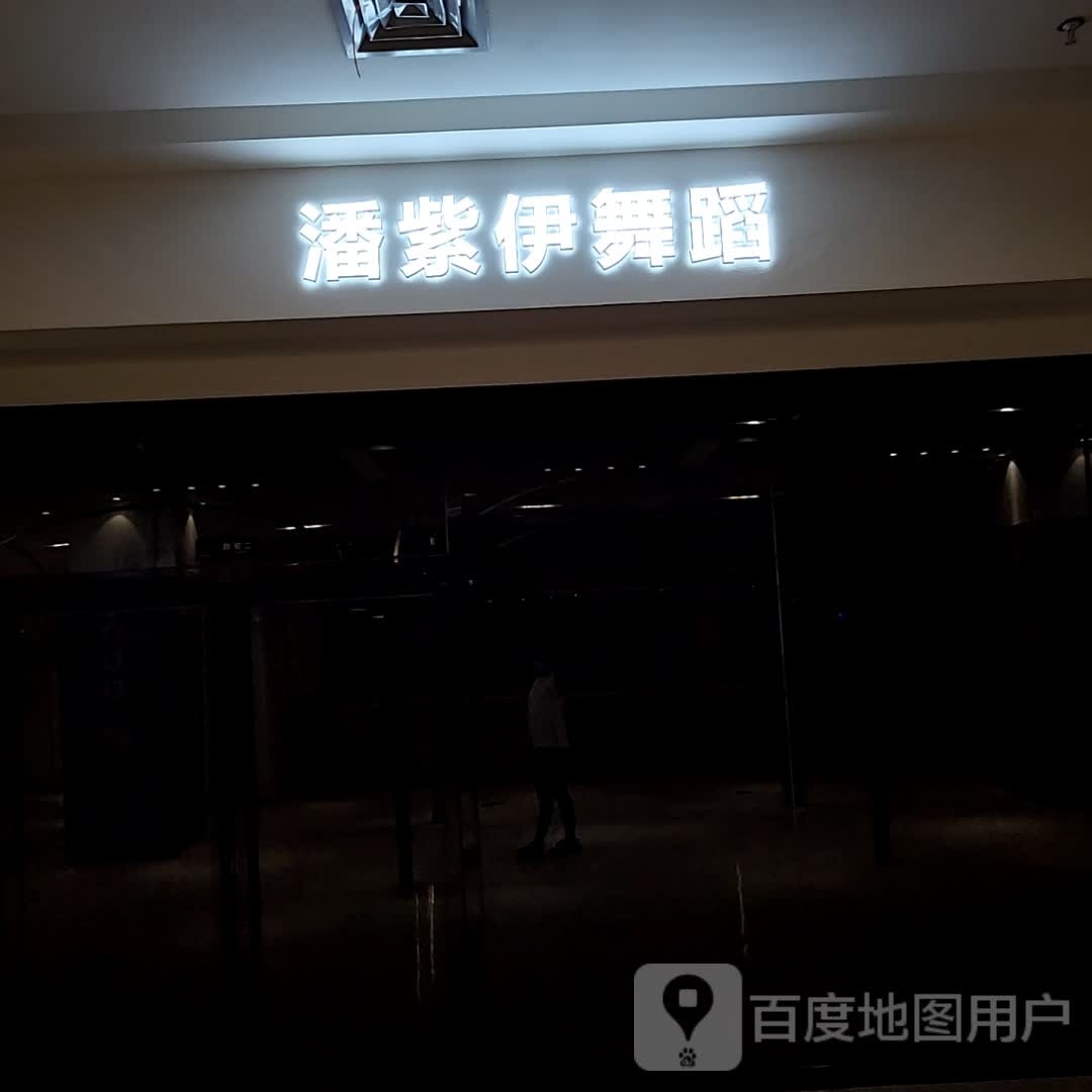 潘紫依舞蹈(润达百货店)