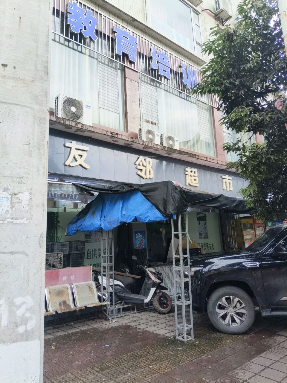 子墨之星教育培训